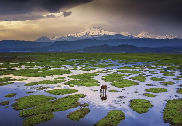 La imagen del paisaje muestra el cañaveral de Hurmetсi y el monte Erciyes, en Turquía, donde este caballo sediento parece tan pequeño. La imagen del paisaje muestra el cañaveral de Hurmetсi y el monte Erciyes, en Turquía, donde este caballo sediento parece tan pequeño. - Sputnik Mundo