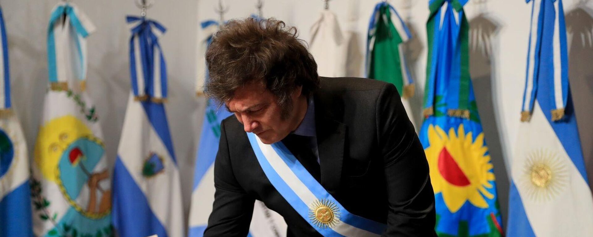 Javier Milei, presidente de Argentina - Sputnik Mundo, 1920, 27.12.2024