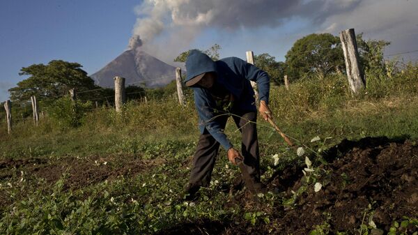 Agricultor en Nicaragua - Sputnik Mundo