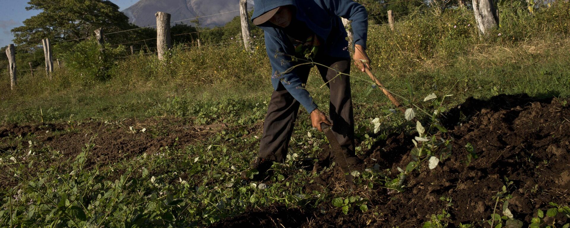 Agricultor en Nicaragua - Sputnik Mundo, 1920, 28.12.2024