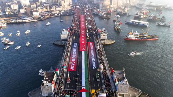 Manifestación en solidaridad con los palestinos en medio de la guerra en Gaza, en Estambul, Turquía, miércoles 1 de enero de 2025. (Sercan Ozkurnazli/DIA Photo vía AP) - Sputnik Mundo