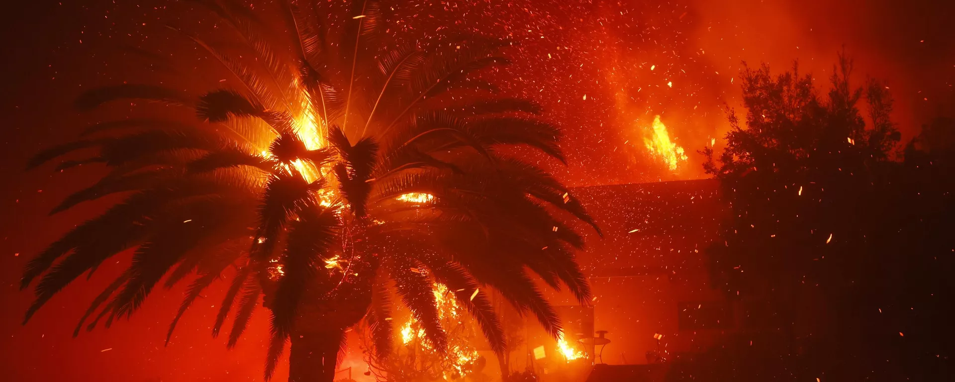 Las llamas queman árboles y casas en el vecindario Pacific Palisades de Los Ángeles, el martes 7 de enero de 2025. (Foto AP/Etienne Laurent) - Sputnik Mundo, 1920, 10.01.2025