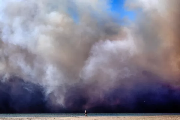 Un transeúnte solitario camina a lo largo de la costa mientras una gran columna de humo oscuro pasa sobre la playa, procedente del incendio forestal de Pacific Palisades, desde Santa Mónica, California. Un transeúnte solitario camina a lo largo de la costa mientras una gran columna de humo oscuro pasa sobre la playa, procedente del incendio forestal de Pacific Palisades, desde Santa Mónica, California. - Sputnik Mundo