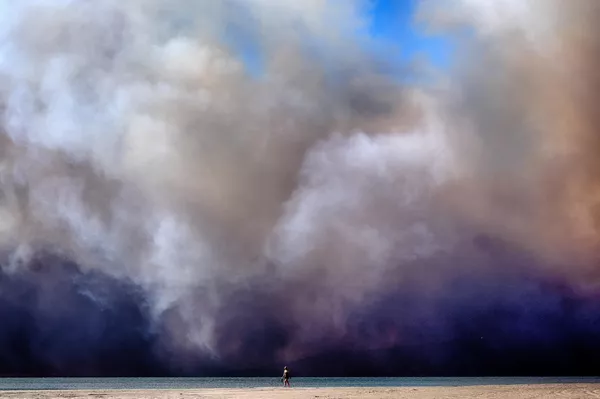 Un transeúnte solitario camina a lo largo de la costa mientras una gran columna de humo oscuro pasa sobre la playa, procedente del incendio forestal de Pacific Palisades, desde Santa Mónica, California. - Sputnik Mundo