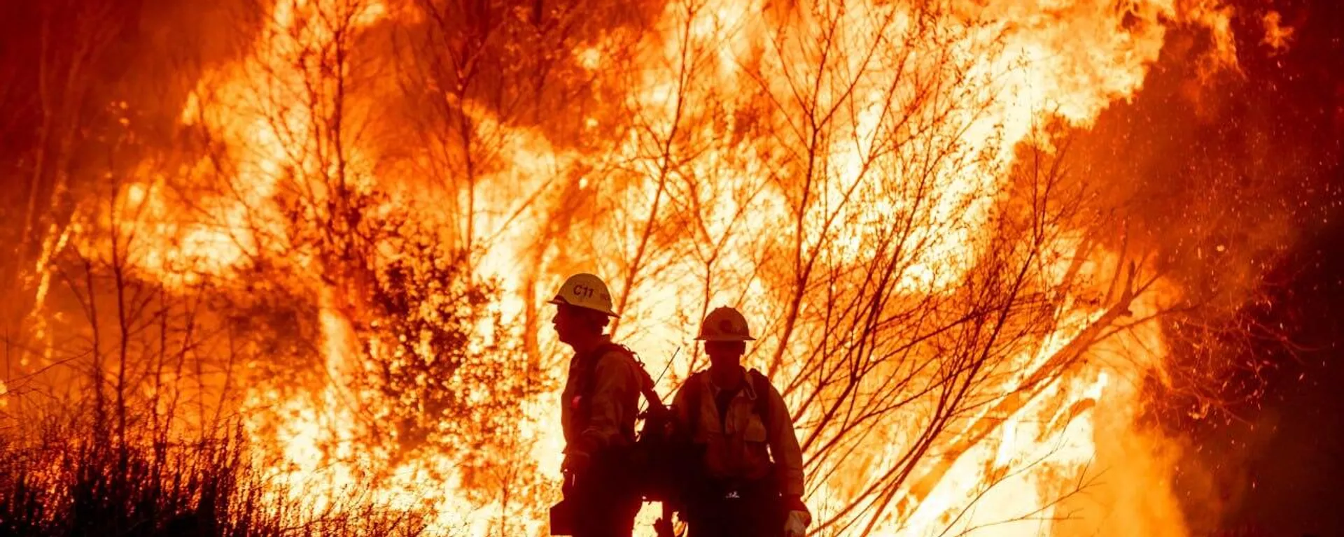 Incendios en California. - Sputnik Mundo, 1920, 19.01.2025