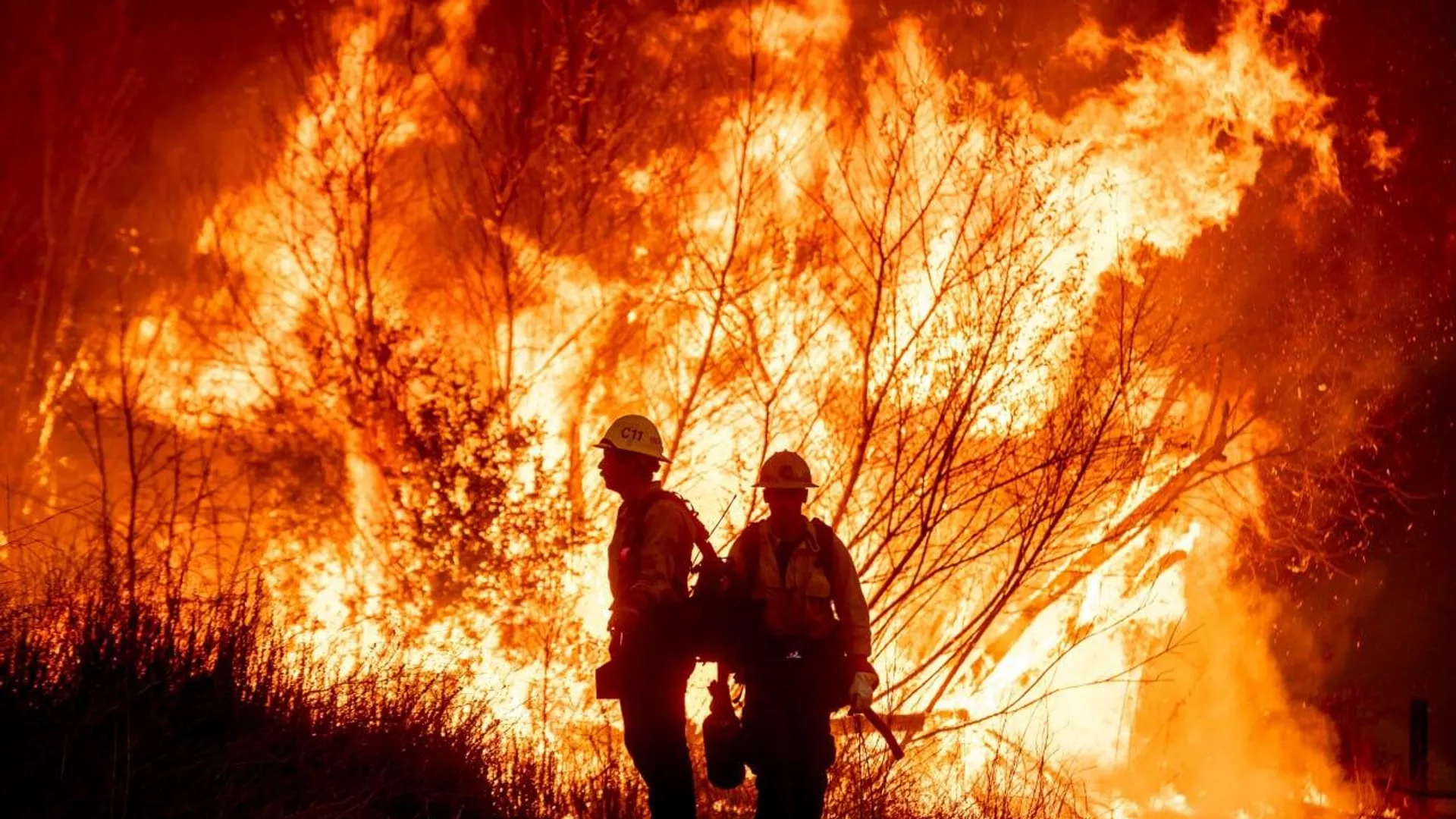 Incendios en California. - Sputnik Mundo, 1920, 19.01.2025