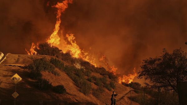 Los incendios en California en enero de 2025 - Sputnik Mundo