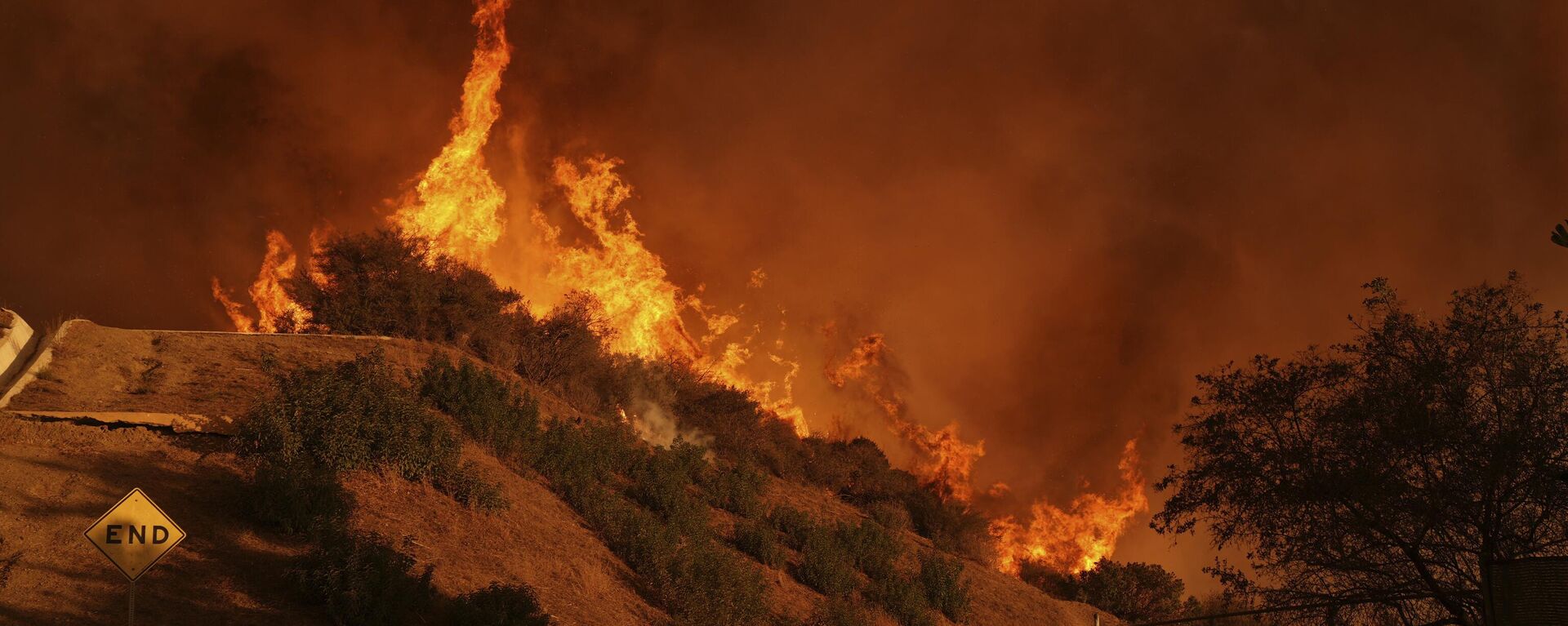 Los incendios en California en enero de 2025 - Sputnik Mundo, 1920, 17.01.2025