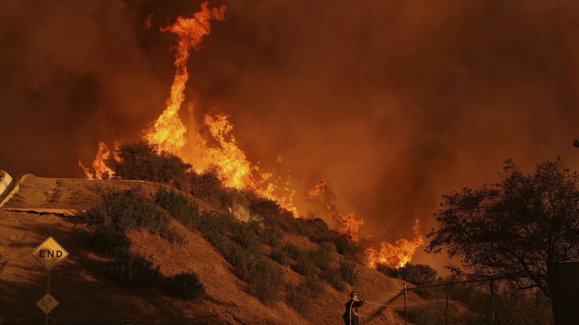 Incendios en California - Sputnik Mundo, 1920, 16.01.2025