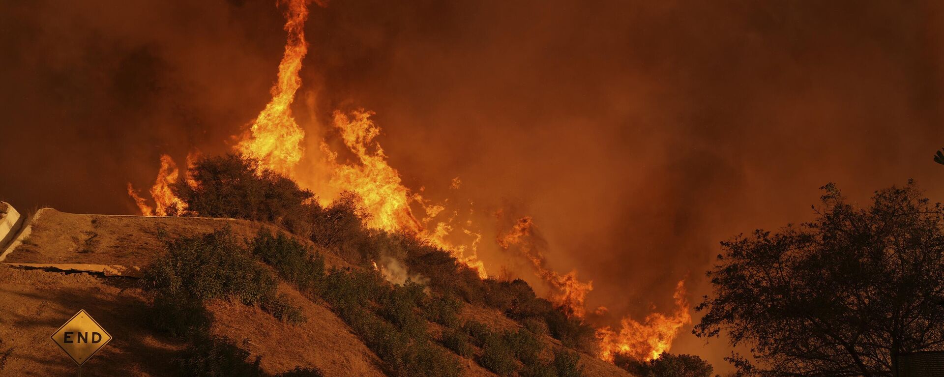 Incendios en California - Sputnik Mundo, 1920, 16.01.2025