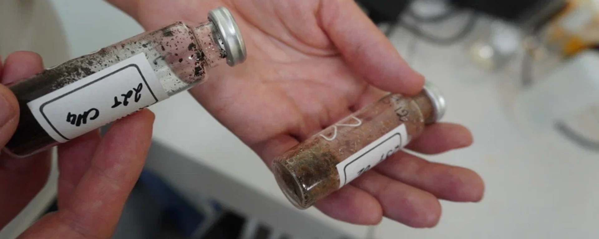 Estudio del suelo de un pantano - Sputnik Mundo, 1920, 12.01.2025