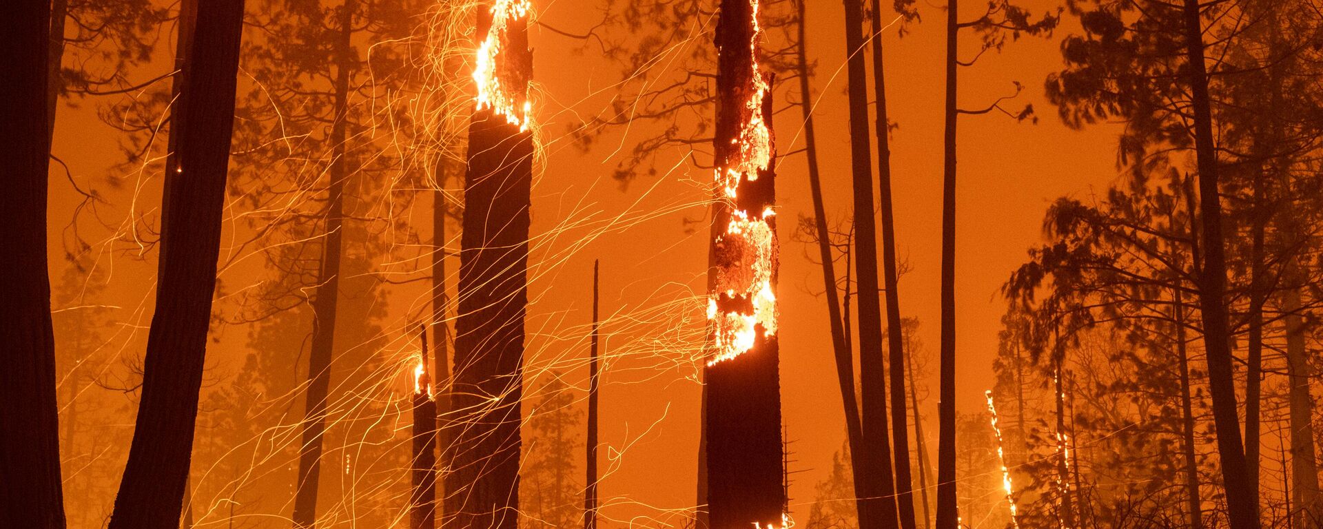 Incendios en California - Sputnik Mundo, 1920, 19.01.2025