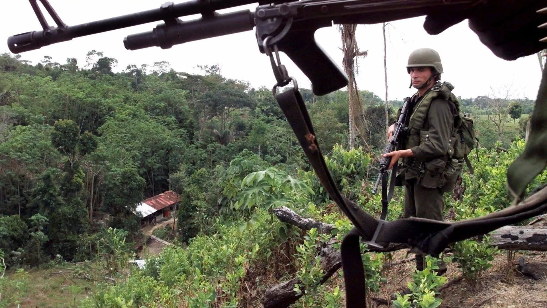 Un elemento de la policía antinarcóticos en un campo de coca cerca de La Gabarra, en la región del Catatumbo, Colombia (imagen referencial) - Sputnik Mundo, 1920, 17.01.2025