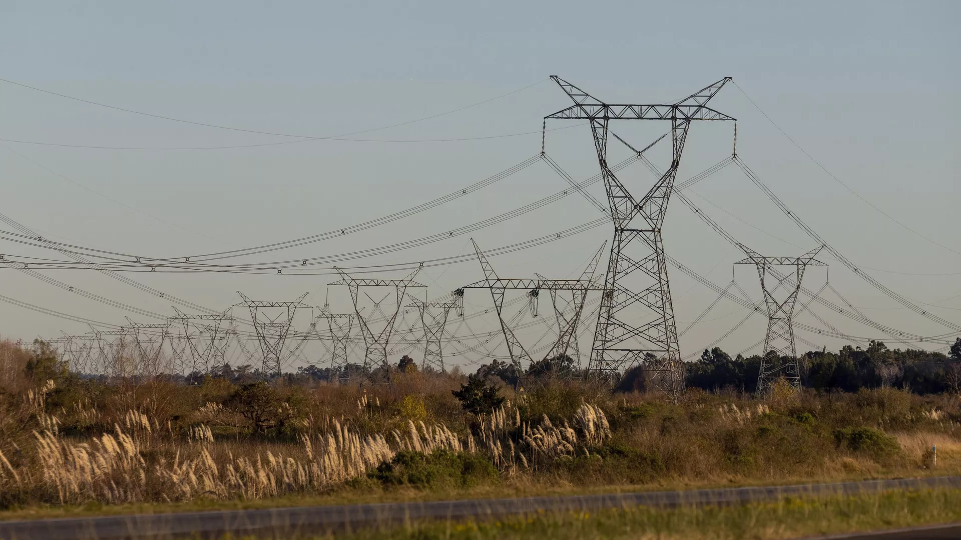 Torres de transmisión se erigen en el corredor Litoral, cerca de la localidad de Zárate, en el límite de las provincias de Buenos Aires y Entre Ríos, Argentina.  - Sputnik Mundo, 1920, 17.01.2025