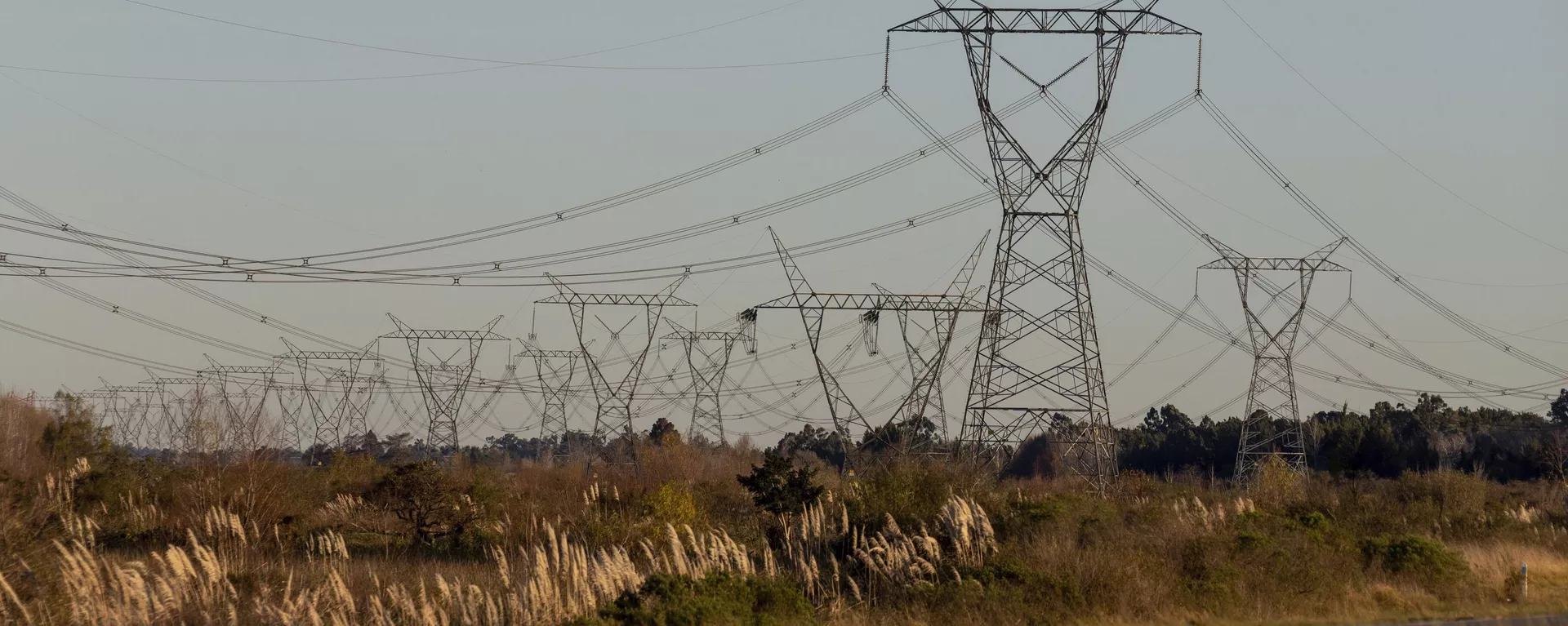 Torres de transmisión se erigen en el corredor Litoral, cerca de la localidad de Zárate, en el límite de las provincias de Buenos Aires y Entre Ríos, Argentina.  - Sputnik Mundo, 1920, 17.01.2025