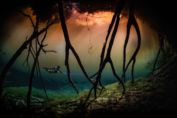 La lluvia suele ser un reto para la fotografía submarina, sin embargo, Hwanhee Kim se las arregló en las playas de Cancún, México, para ganarse el primer lugar en la categoría Wide Angle (Gran angular). - Sputnik Mundo