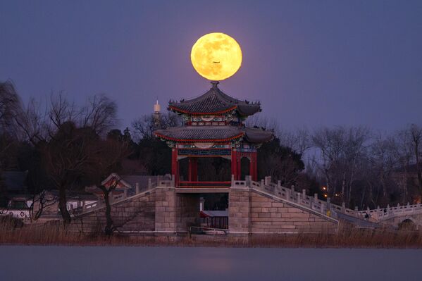 La Luna de Lobo, la primera luna llena de 2025, ilumina el cielo nocturno sobre un puente del Palacio de Verano en Pekín, China. La Luna de Lobo, la primera luna llena de 2025, ilumina el cielo nocturno sobre un puente del Palacio de Verano en Pekín, China. - Sputnik Mundo