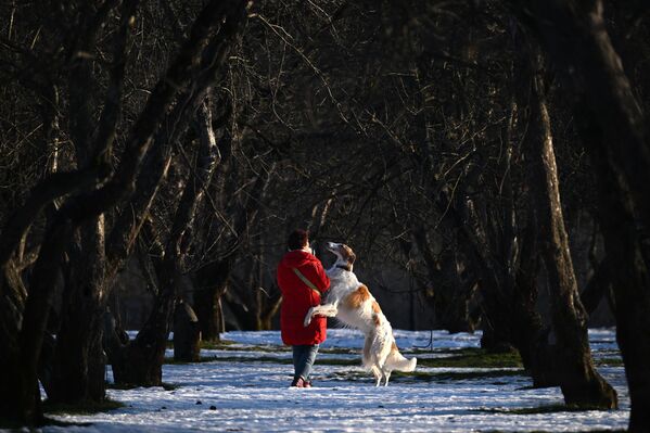 El día 16 de enero fue el más caluroso en la capital rusa desde 1948. La temperatura media alcanzó +3,2 grados Celsius, y el máximo +4,6 grados Celsius. El día 16 de enero fue el más caluroso en la capital rusa desde 1948. La temperatura media alcanzó +3,2 grados Celsius, y el máximo +4,6 grados Celsius. - Sputnik Mundo