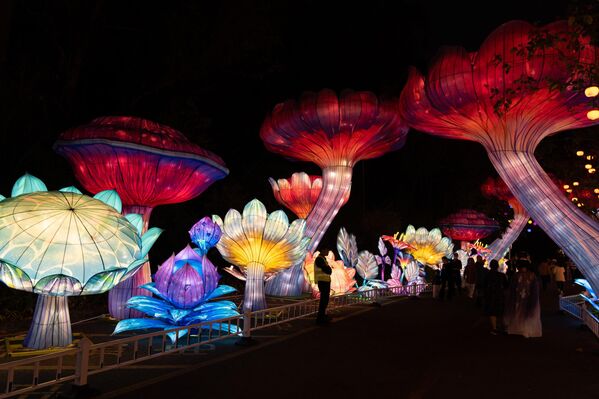 Los visitantes descubren el fascinante trabajo de los artesanos de la luz. - Sputnik Mundo