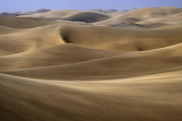 El australiano Leonardo Murray, de 12 años, ganó el TPOTY joven de 14 años o menos por sus magníficas imágenes de las dunas del desierto de Namibia. - Sputnik Mundo