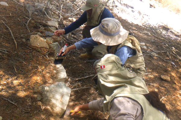 El edificio piramidal perteneciente a la cultura precolombina Caral, considerada la más antigua de América, descubierto en Perú - Sputnik Mundo