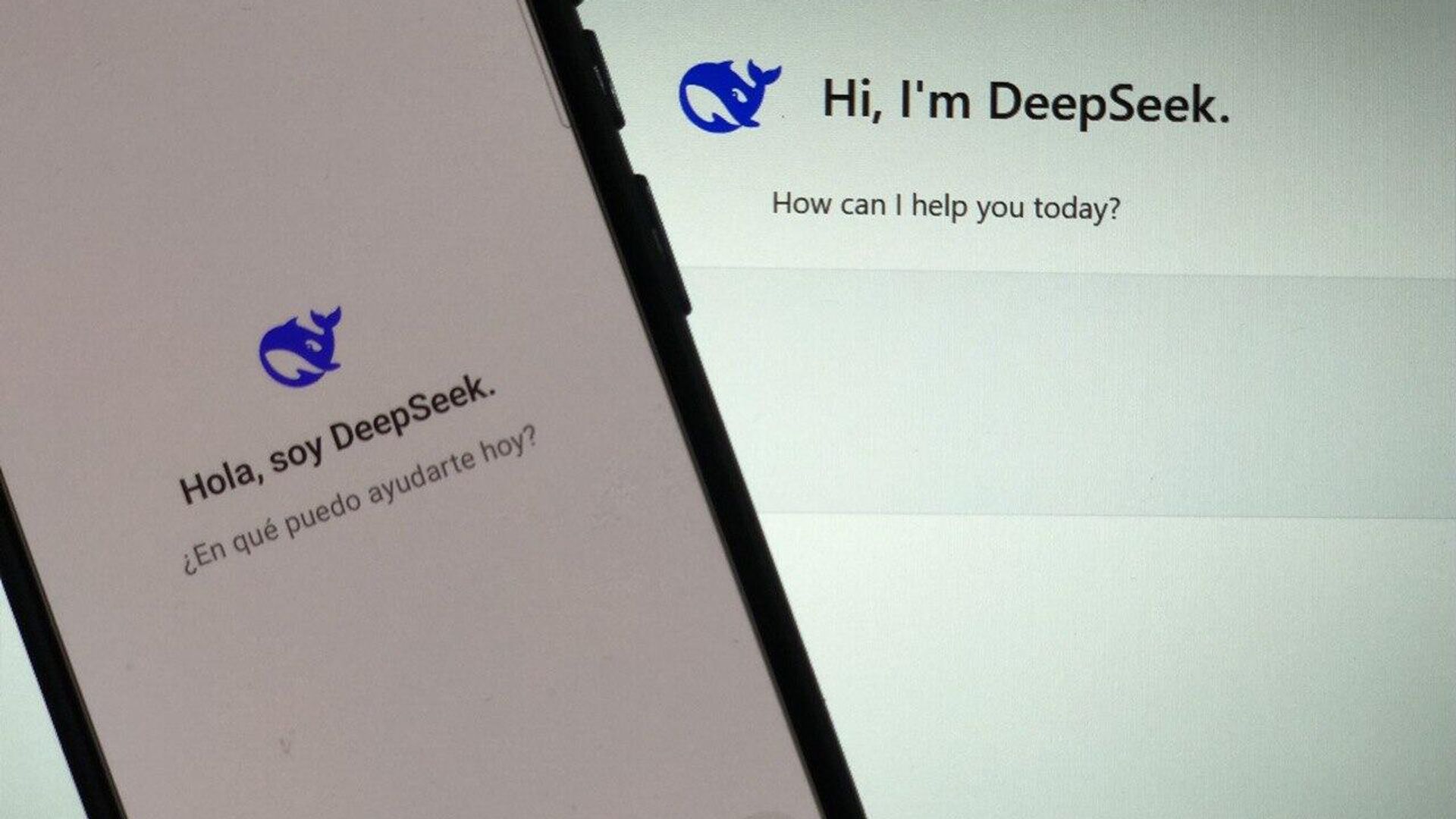 Interfaz de DeepSeek Interfaz de DeepSeek - Sputnik Mundo, 1920, 31.01.2025