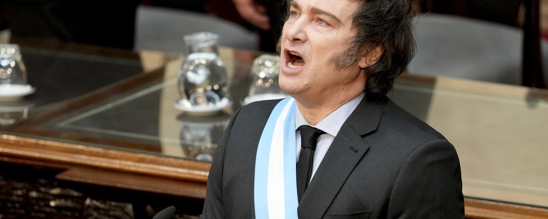 El presidente argentino Javier Milei en el Congreso de su país - Sputnik Mundo, 1920, 05.02.2025