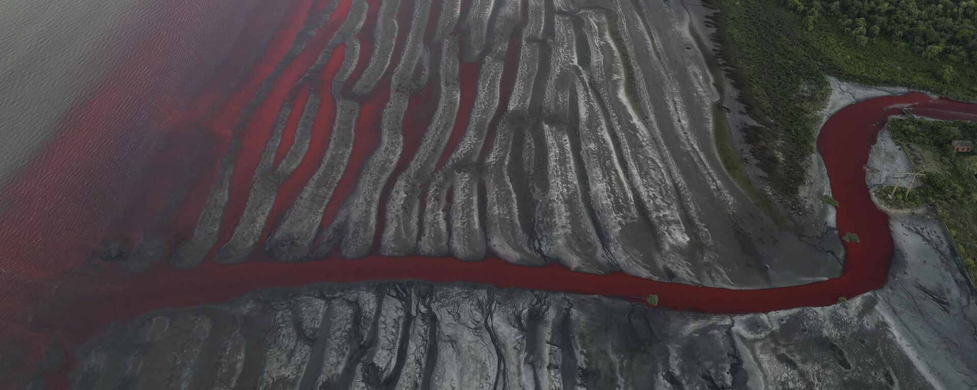 Берега реки Рио-де-ла-Плата окрашены в красный цвет в результате загрязнения неизвестными веществами, Буэнос-Айрес, Аргентина - Sputnik Mundo, 1920, 07.02.2025