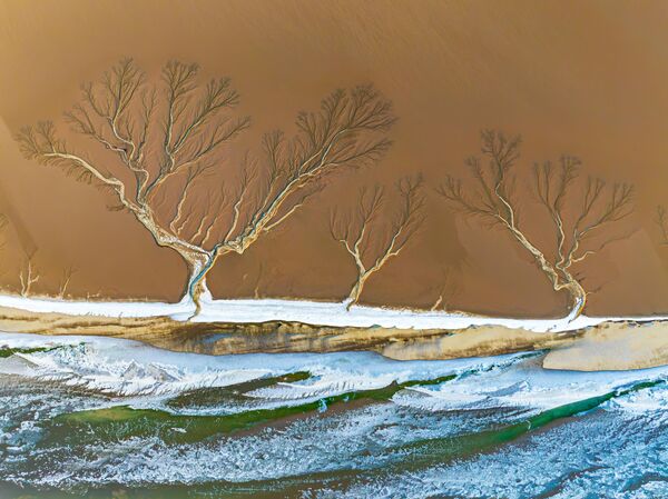 Vista aérea de los gigantescos dibujos en forma de árbol en el río Qiantang durante el amanecer. - Sputnik Mundo