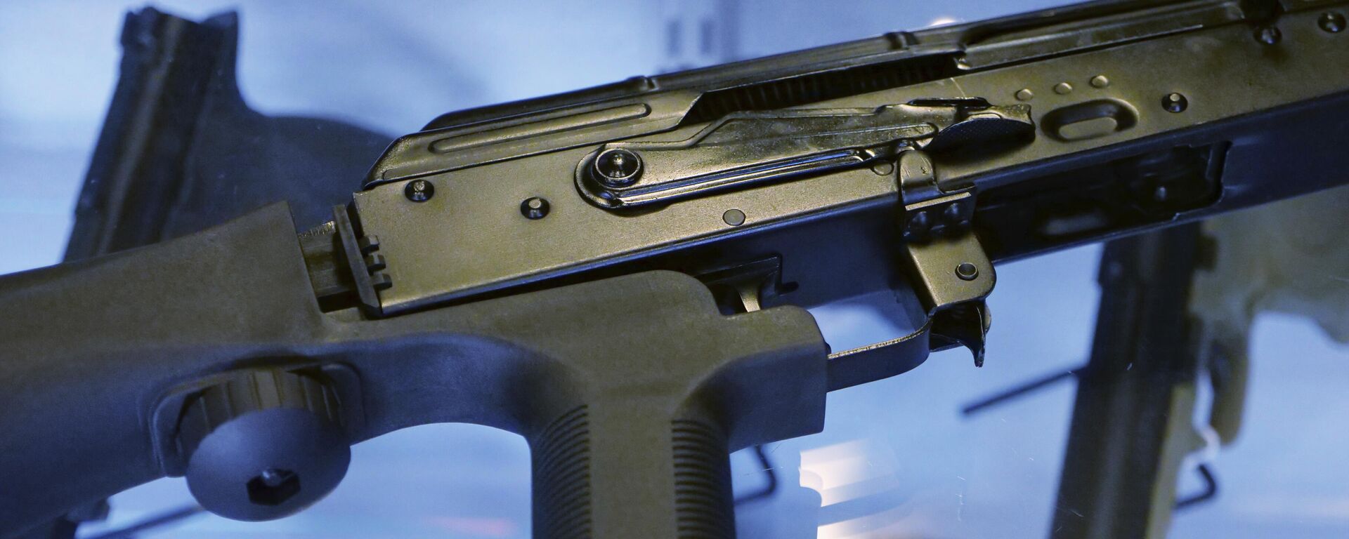 Las armas son uno de los grandes problemas entre EEUU y México - Sputnik Mundo, 1920, 14.02.2025