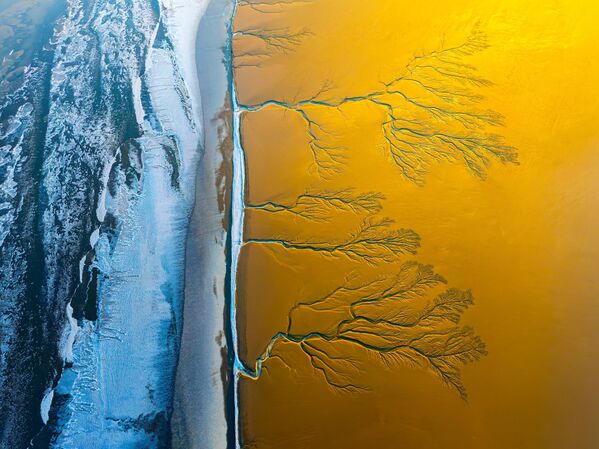 Vista aérea de los gigantescos dibujos arbóreos del río Qiantang helado al amanecer tras la bajada de la marea en la provincia china de Zhejiang. Estos dibujos naturales, conocidos como árboles de marea, se formaron al enfriarse las marismas de barro congeladas. - Sputnik Mundo