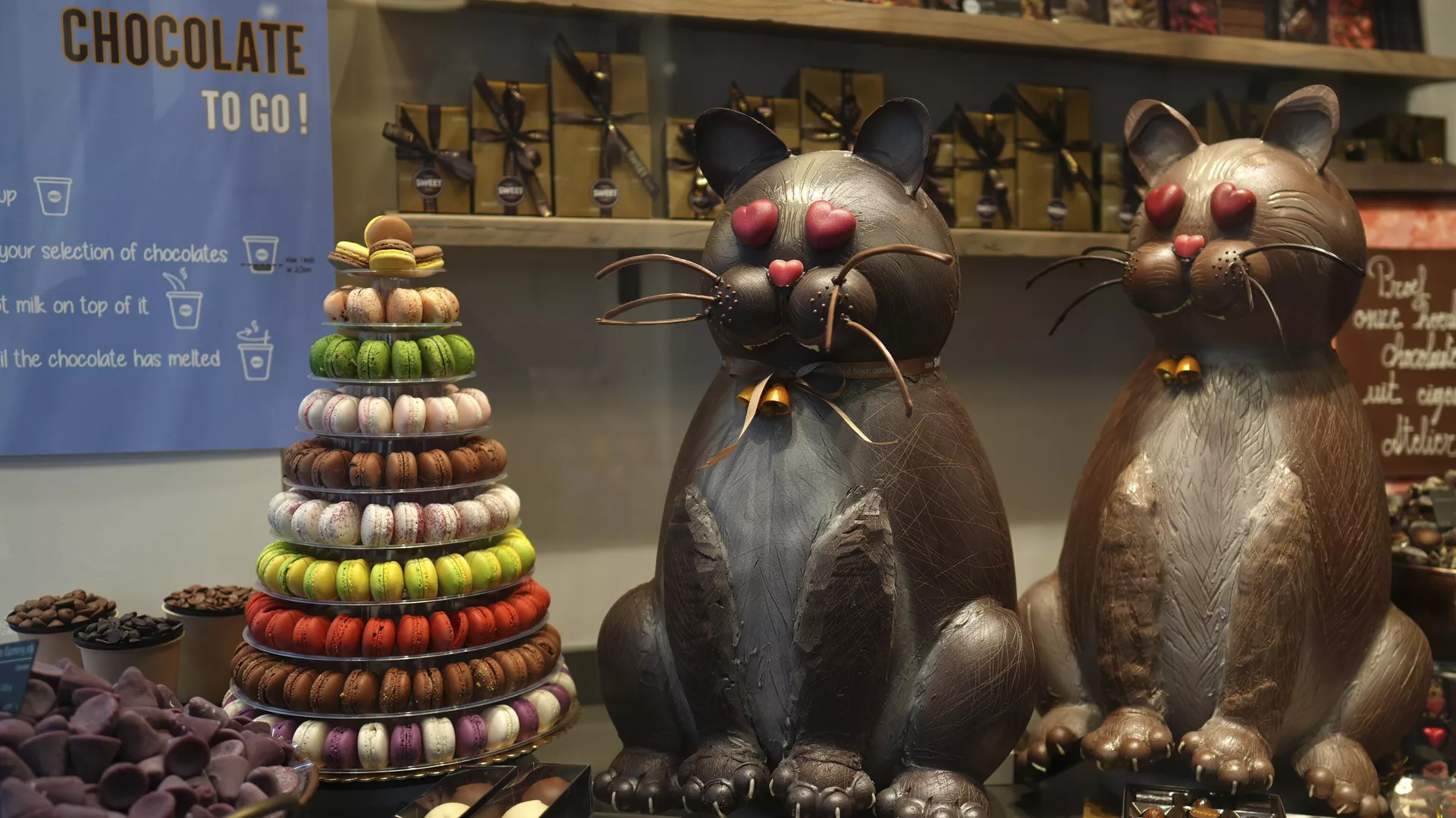 Dos gatos gigantes hechos de chocolate se exhiben en un escaparate en Brujas, Bélgica, el jueves 6 de febrero de 2025.  - Sputnik Mundo, 1920, 15.02.2025