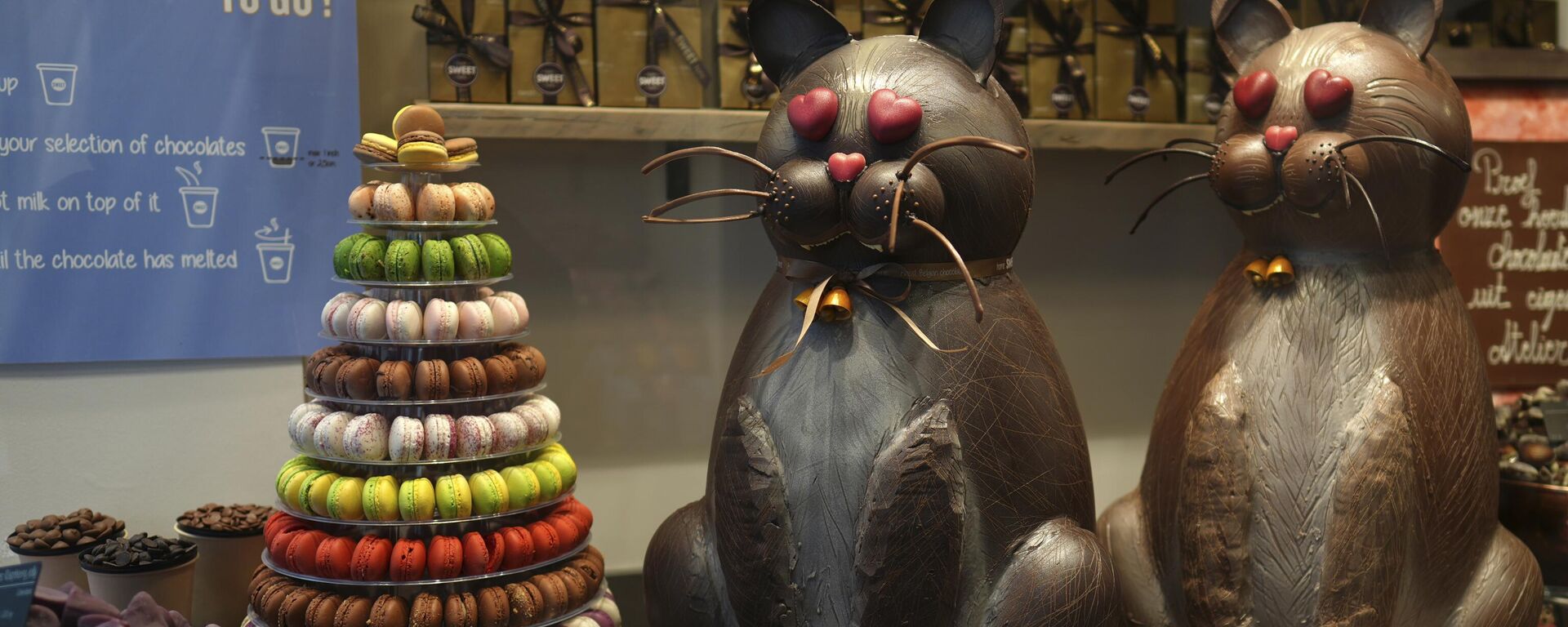 Dos gatos gigantes hechos de chocolate se exhiben en un escaparate en Brujas, Bélgica, el jueves 6 de febrero de 2025.  - Sputnik Mundo, 1920, 15.02.2025