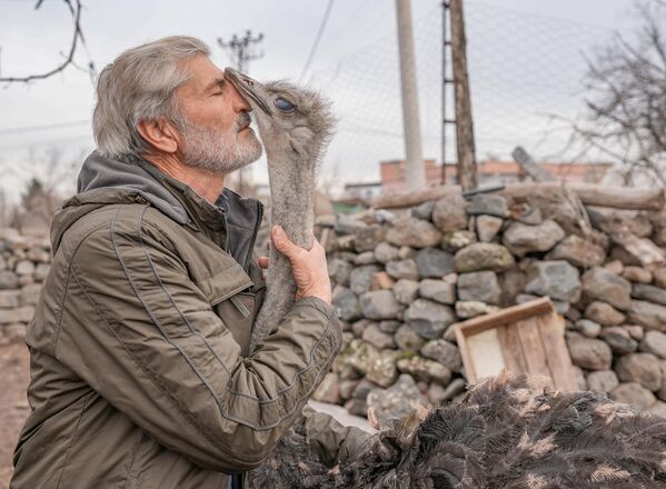 Un hombre acaricia un avestruz que se escapó de su nuevo dueño y regresó a su antiguo barrio en el distrito de Sur, Turquía. - Sputnik Mundo