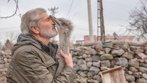 64-летний Фесих Атеш гладит страуса, который сбежал от нового хозяина и вернулся в свой старый район в районе Сур, Турция - Sputnik Mundo