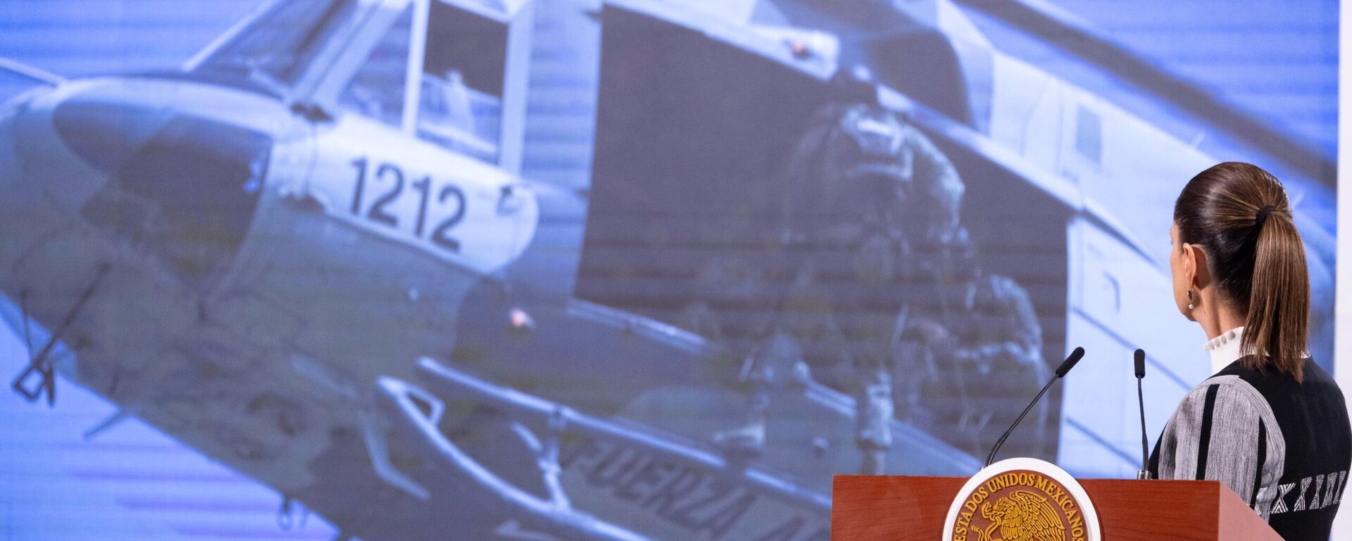 Estrategia de seguridad - Sputnik Mundo, 1920, 27.02.2025