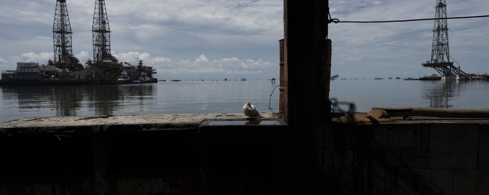 Pozos petroleros en la Costa Oriental del Lago de Maracaibo en Cabimas, estado Zulia, Venezuela - Sputnik Mundo, 1920, 28.02.2025