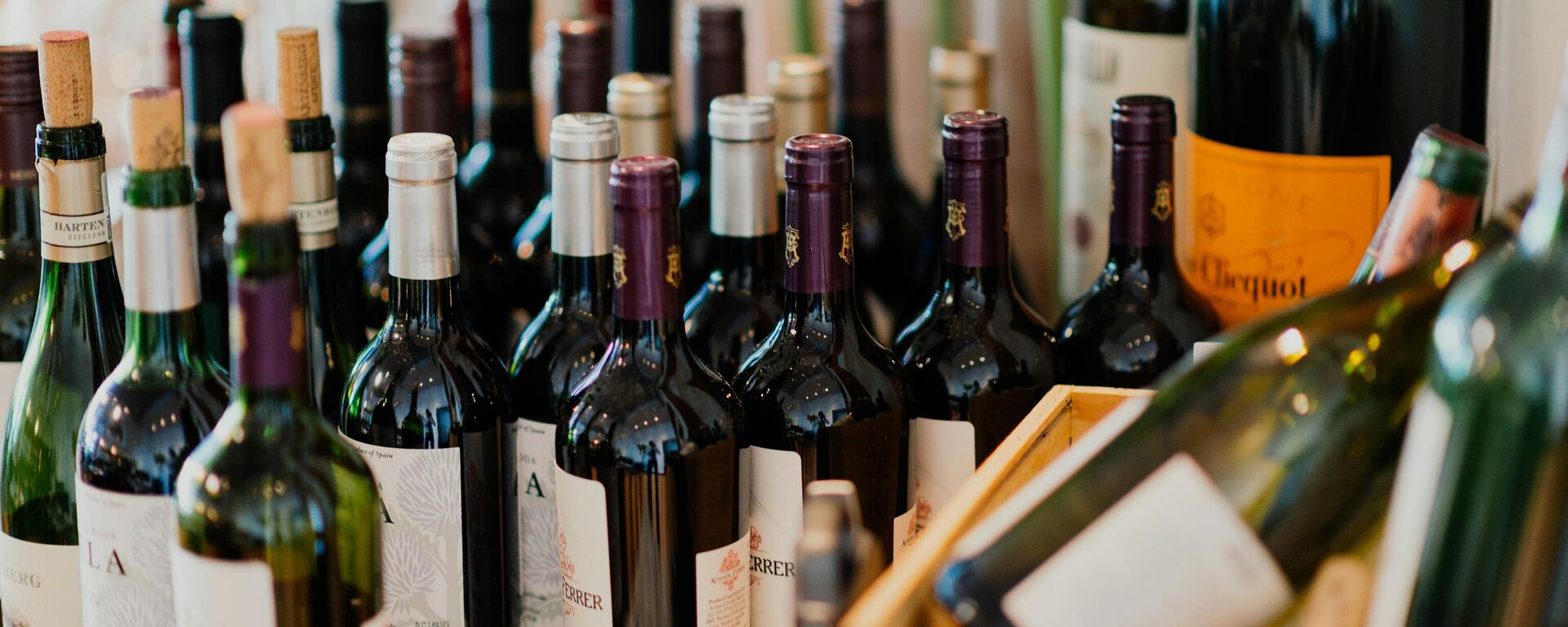 Botellas de vino (imagen referencial) - Sputnik Mundo, 1920, 13.03.2025