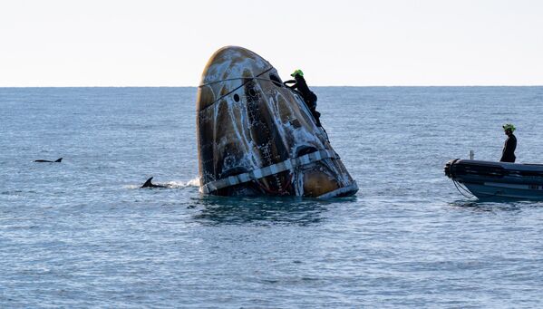 En esta imagen facilitada por la NASA, los equipos de apoyo trabajan en la nave espacial SpaceX Dragon poco después de que aterrizara con los astronautas estadounidenses Nick Hague, Suni Williams y Butch Wilmore, y el cosmonauta ruso Alexandr Gorbunov a bordo el 18 de marzo de 2025 frente a la costa de la ciudad de Tallahassee, estado de Florida. Los astronautas regresaban de una estancia a bordo de la Estación Espacial Internacional que comenzó en junio de 2024. - Sputnik Mundo