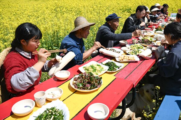 China se encuentra entre los tres principales productores de colza, junto a Canadá y la India. - Sputnik Mundo