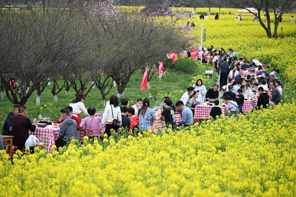 Desde principios de marzo, la belleza de Nanjing es de color amarillo dorado, lo que hace que la gente quiera quedarse.En la foto: turistas degustan comida tradicional entre flores de colza en Nanjing. - Sputnik Mundo