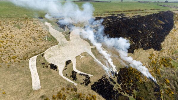 Vista aérea de una quema controlada que se está llevando a cabo en la figura del Caballo Blanco de Uffington, en el Reino Unido. Vista aérea de una quema controlada que se está llevando a cabo en la figura del Caballo Blanco de Uffington, en el Reino Unido. - Sputnik Mundo