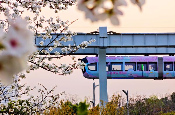 El tren monorraíl suspendido, también conocido como tren aéreo Optics Valley Photon, circula junto a los cerezos en flor, en la primavera de la ciudad de Wuhan, provincia china de Hubei. El tren monorraíl suspendido, también conocido como tren aéreo Optics Valley Photon, circula junto a los cerezos en flor, en la primavera de la ciudad de Wuhan, provincia china de Hubei. - Sputnik Mundo