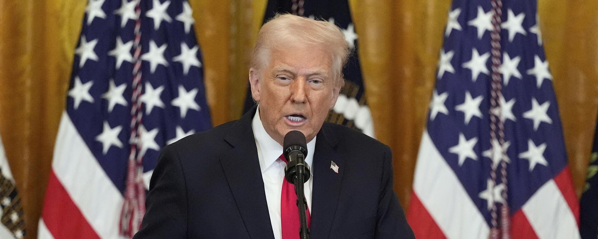 Donald Trump, presidente de EEUU - Sputnik Mundo, 1920, 02.05.2025