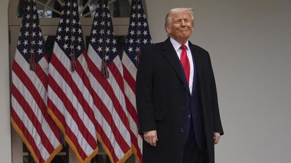 Donald Trump, presidente de EEUU - Sputnik Mundo