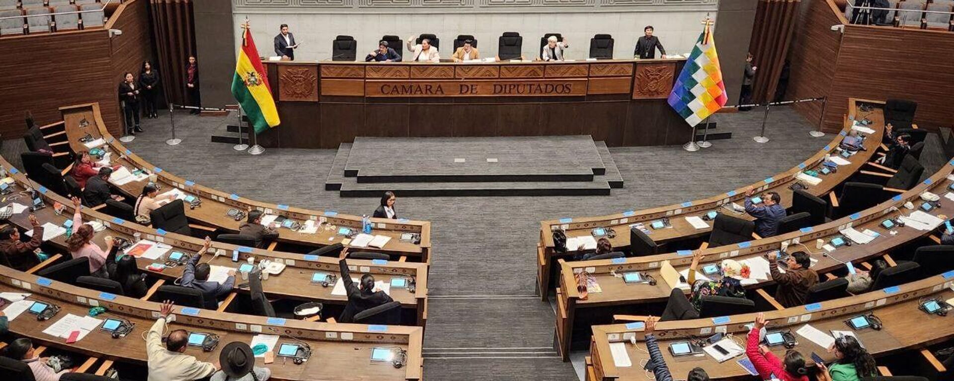 Sabotaje en Bolivia de crédito internacional puede causar un atentado contra las elecciones - Sputnik Mundo, 1920, 04.04.2025