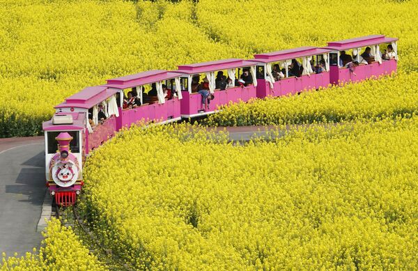 Tren rosa con turistas en Anshun. - Sputnik Mundo