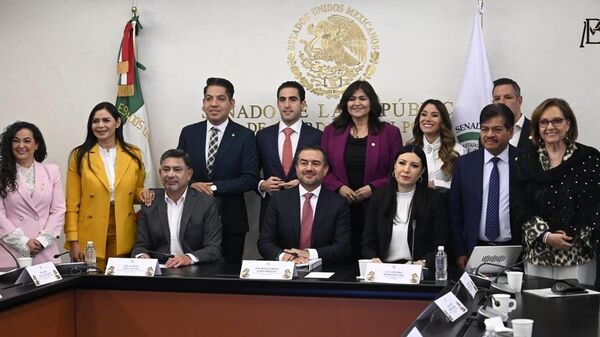 La gobernadora del Banco de México durante su comparecencia en la Cámara de Senadores este 10 de abril - Sputnik Mundo