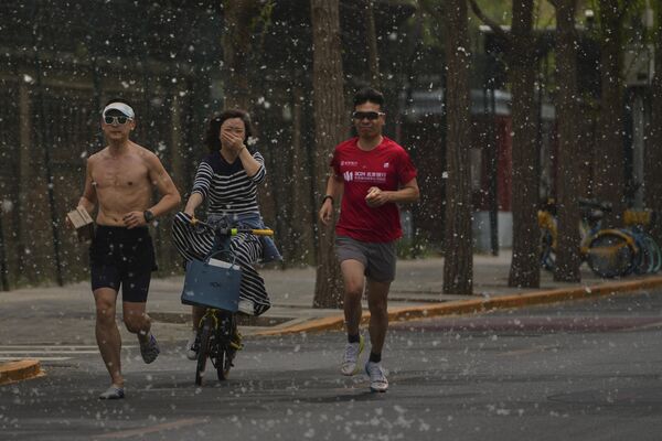 Todos los años en primavera, los álamos y los sauces florecen en la capital china, Pekín, con amentos volando por las calles, incomodando a los alérgicos y entorpeciendo el tráfico. En la foto: habitantes de Pekín durante la floración de los árboles. Todos los años en primavera, los álamos y los sauces florecen en la capital china, Pekín, con amentos volando por las calles, incomodando a los alérgicos y entorpeciendo el tráfico. En la foto: habitantes de Pekín durante la floración de los árboles. - Sputnik Mundo