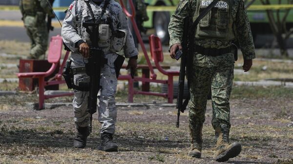 El Ejército mexicano ha hecho varias incautaciones. - Sputnik Mundo